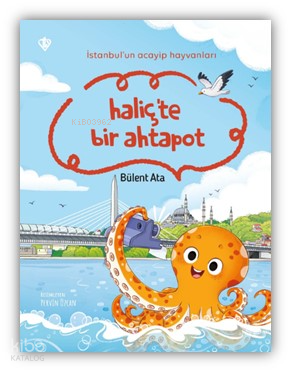 İstanbul’un Acayip Hayvanları Haliçte Bir Ahtapot